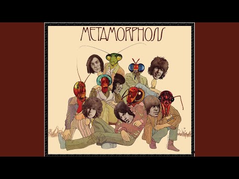 A écouter en préparant Terrine à la châtaigne