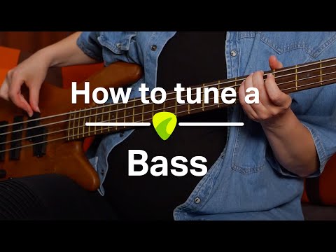 Bass Tutorial: How to Tune Your Bass