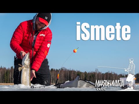 TÄKYHAUKIMESTARI kertoo kaiken