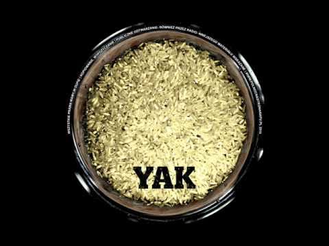 Yak - To Nieistotne (2010)