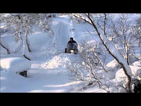 Yamaha Viking powder..