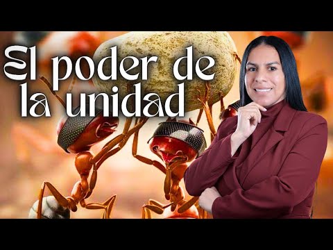 EL PODER DE LA UNIDAD. PASTORA BEATRIZ BERROA 