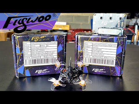 Flywoo FR16 Baby Nano V2 | But Does It Freestyle?