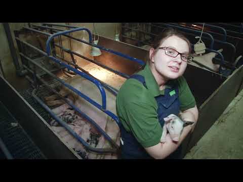 Film Van Asten Group Nordhausen