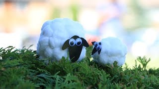 How to make  cotton wool sheep  2018