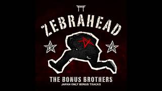 Zebrahead - Down In Flames (Bonus Brothers Version)