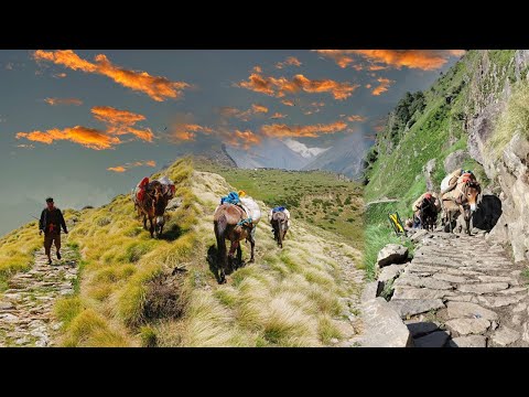 Brooke India intervention at Himalayas- Bugyal the Pasture land || English ||