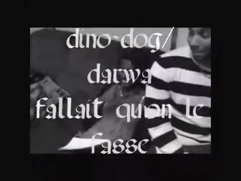 dino-dog/ darwa ( Dar L'alchimiste ) 2009 