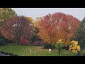 this is what I love about Canada. look at the trees, how beautiful is that
