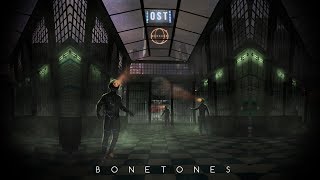 Cover art for Bone Theme