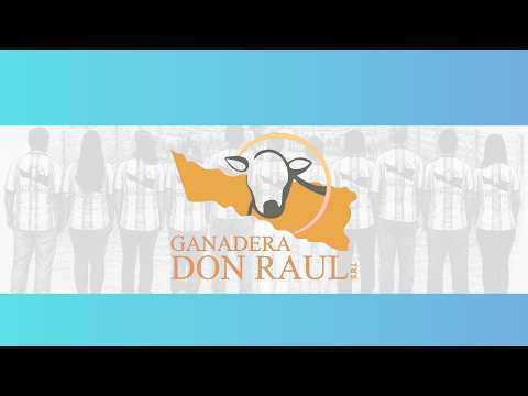 REMATE DE INVERNADA - INGENIERO JUÁREZ - FAPEO