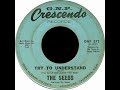 THE SEEDS -  Try To Understand
