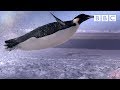 How Does A Penguin Launch Itself From The Sea The Wonder Of Animals BBC
