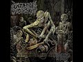 Extreme Violence Ecstasy In Pain 2005 Full Album Sevared Records