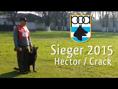 Hector y Crack - Sieger 2015