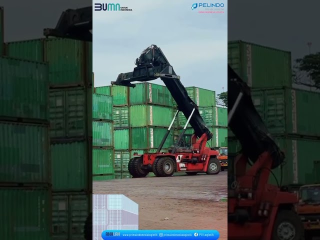 Dirut PT PIL Tinjau Langsung Kondisi Depo Container di Belawan