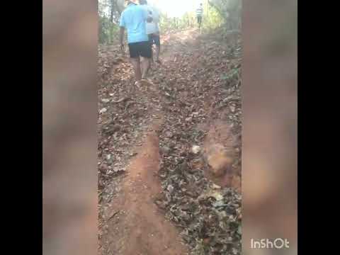 Pattyatil Devachya asanachi safsafai...