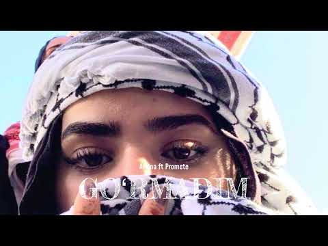 Amina ft ProMete - Goʻrmadim