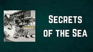 Billy Bragg - Secrets of the Sea (Lyrics)