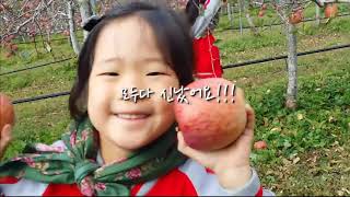 썸네일 3