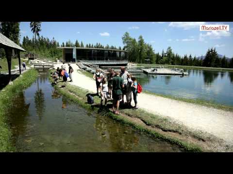 Mariazeller Bürgeralpe - Ausflugsberg und Erlebniswelt