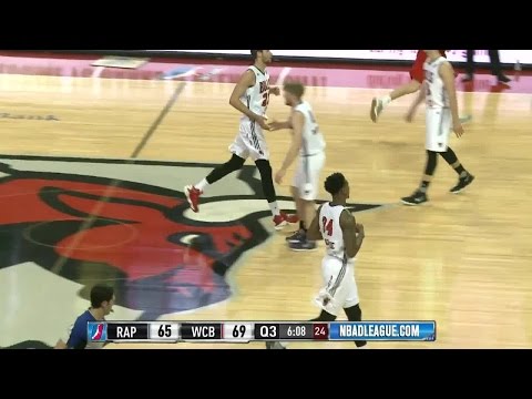 Highlights: Alfonzo McKinnie (22 points)  vs. the 905, 1/7/2017