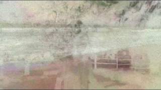 Daniel Wirtz - Geschichten ohne Sieger