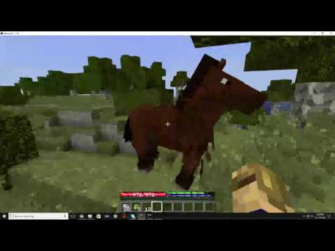 FPSProgrammer Live Stream on terrafirmacraft