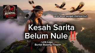 Download lagu Lagu 'KESAH SARITA BELUM NULE ‼️'#viralmusic#jangkauanluas#music.   mp3