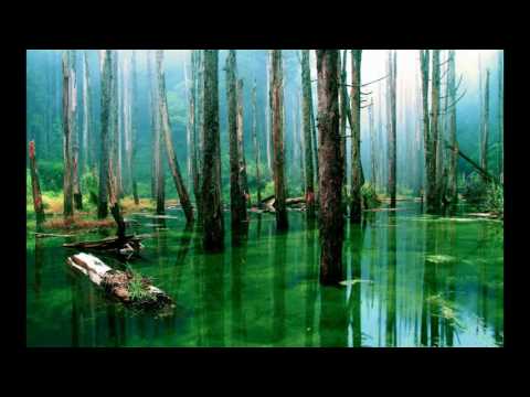 Tom Strobe - From My Heart