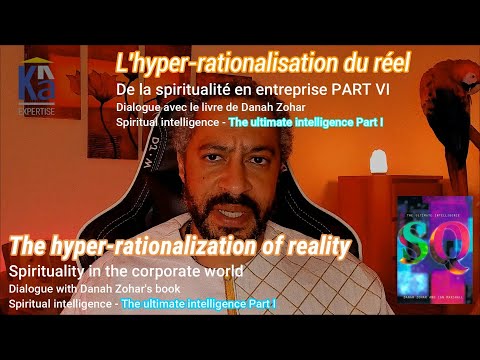 The Hyper-rationalization of reality | Spirituality in the corporate world PART VI | Dialogue with SQ of Danah Zohar