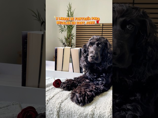 Vídeo relacionado con Llegir, llegeixo, feliç, lectura, Sant Jordi, Dia del llibre Camiseta