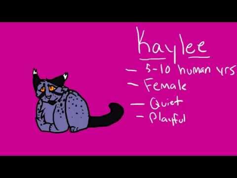 Audition; The Stolen Hope; Kaylee, Rose, and Teen Vixy