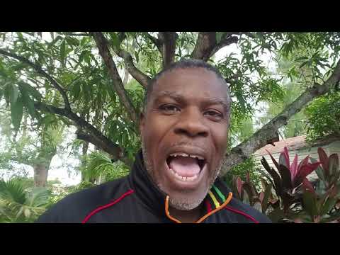 Calibishie Chronicle - BOILS, CARBUNCLES, FOLLIES & GLANDS