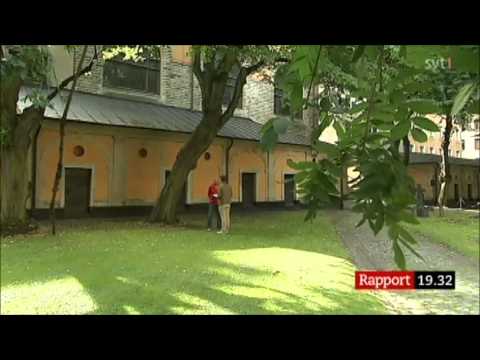 Kommunalrådet i Växjö (M) kräver att staten tar det ekonomiska ansvaret för invandringen