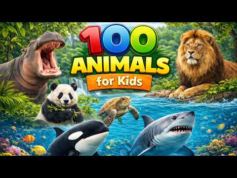100 Animals for Kids | Learn Animal Names with 100 Different of Wild & Sea Animals for Kids