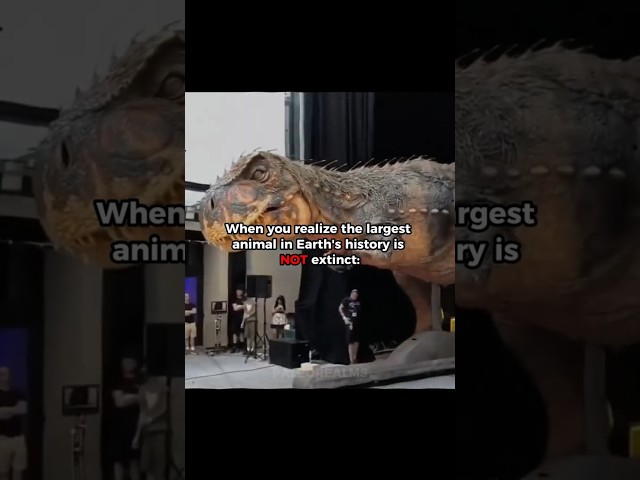 Vídeo relacionado con Dinosaurs and Prehistoric Creatures, the Illustrated Enc of: The ultimate reference guide featuring 1000 creatures from the Devonian to the Quaternary period with 2000 illustrations