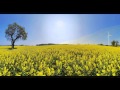 Dopo L'esplosione - Ennio Morricone - Gemma Dopo L'esplosione - Ennio Morricone