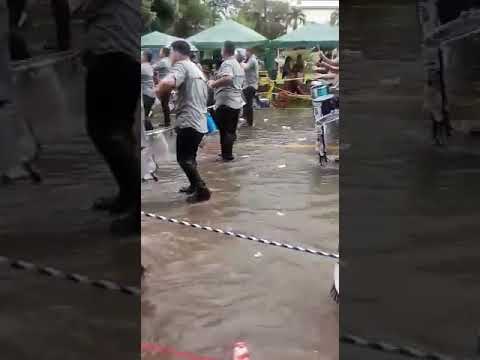 Banda independiente desfilando #David Chiriqui