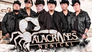 Alacranes Musical - Rueda En Mi Mente ( Nuestra Histora De Voces )