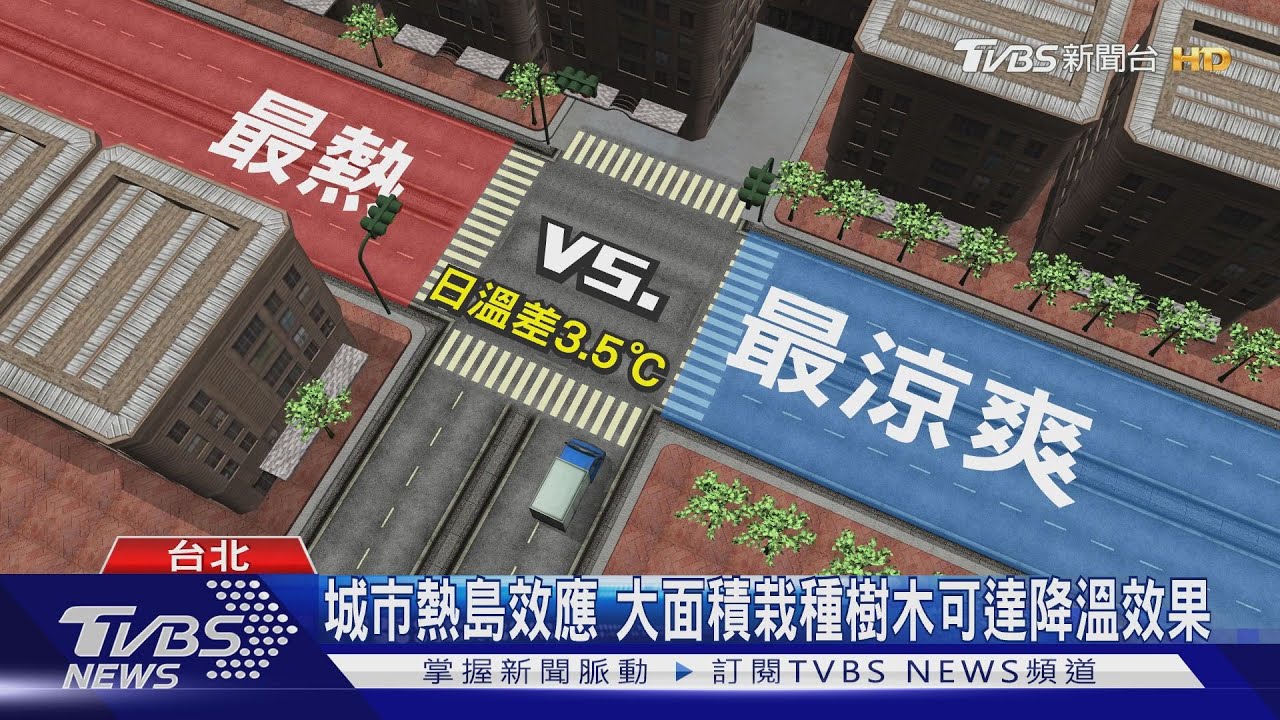 你熱歪了嗎?如果我們「不多做這件事」 城市以後會熱到難以居住