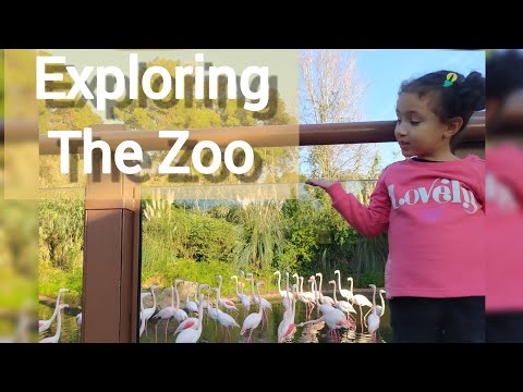 Exploring the Zoo with Najla  | Rabat Zoological |