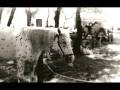 Photo1 B And W Prints