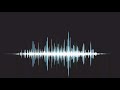 Angry Cat Sound Effect HD