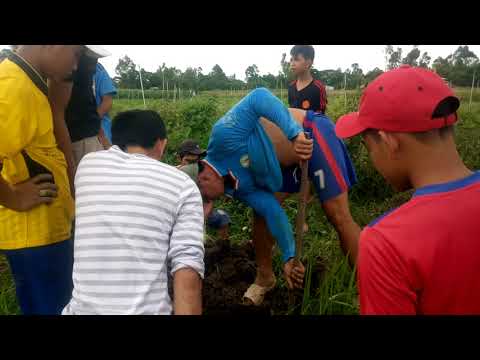 Pax ckuôx mjen tâj...wuj la 9