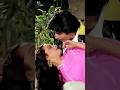 Saiyaara Amitabh Rekha Shorts Viral Oldsong Vg8fun