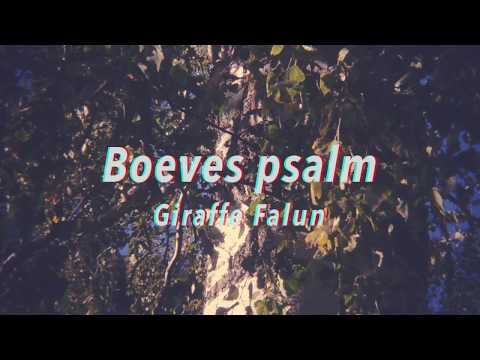 Boeves psalm