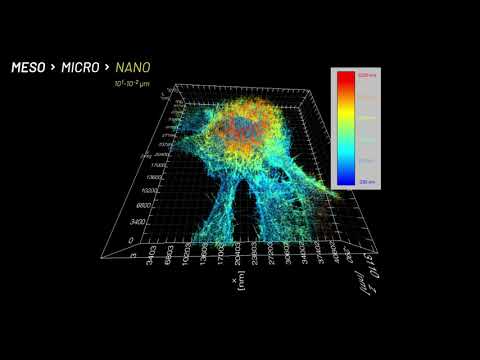 O projeto ImageHeadstart ATCZ215 (em inglês)