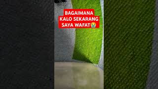 Download lagu Renungan #uah #storywa #quotes #motivasi #dosa #ustadadihidayatceramah #ustadadihidayat #uas mp3 Download lagu Renungan #uah #storywa #quotes #motivasi #dosa #ustadadihidayatceramah #ustadadihidayat #uas mp3