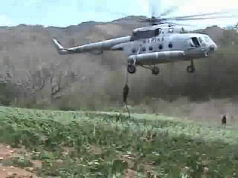 El marihuanero- Originales de San Juan